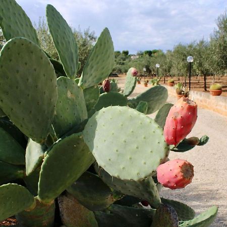 I Trulli Di Gina Appartamento Trullo 6 Persone Монополи Екстериор снимка